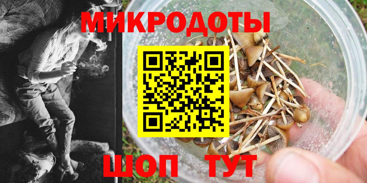 Псилоцибиновые грибы Cubensis  Вход с VPN  Котовск  закладки  Псилоцибиновые грибы мицелий 