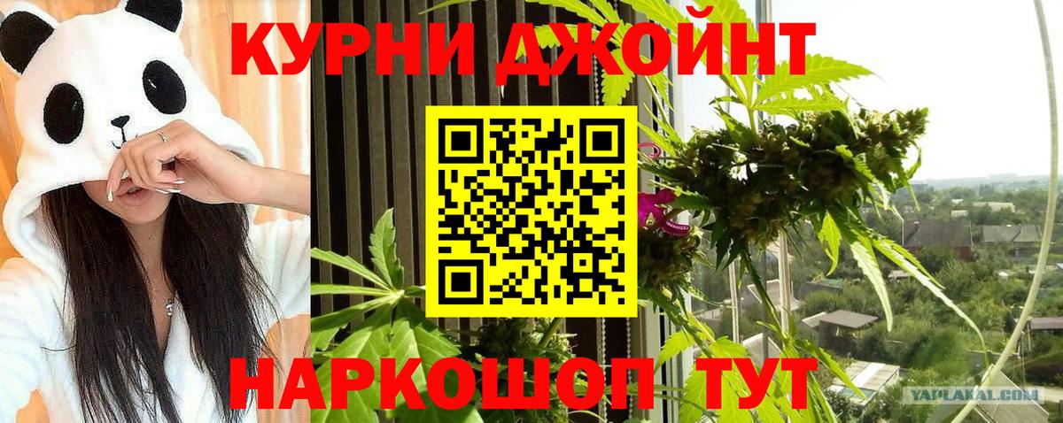 Каннабис OG Kush  Канабис семена  Шишки марихуана MAZAR  Марихуана SATIVA & INDICA  Котовск  Вход с VPN 